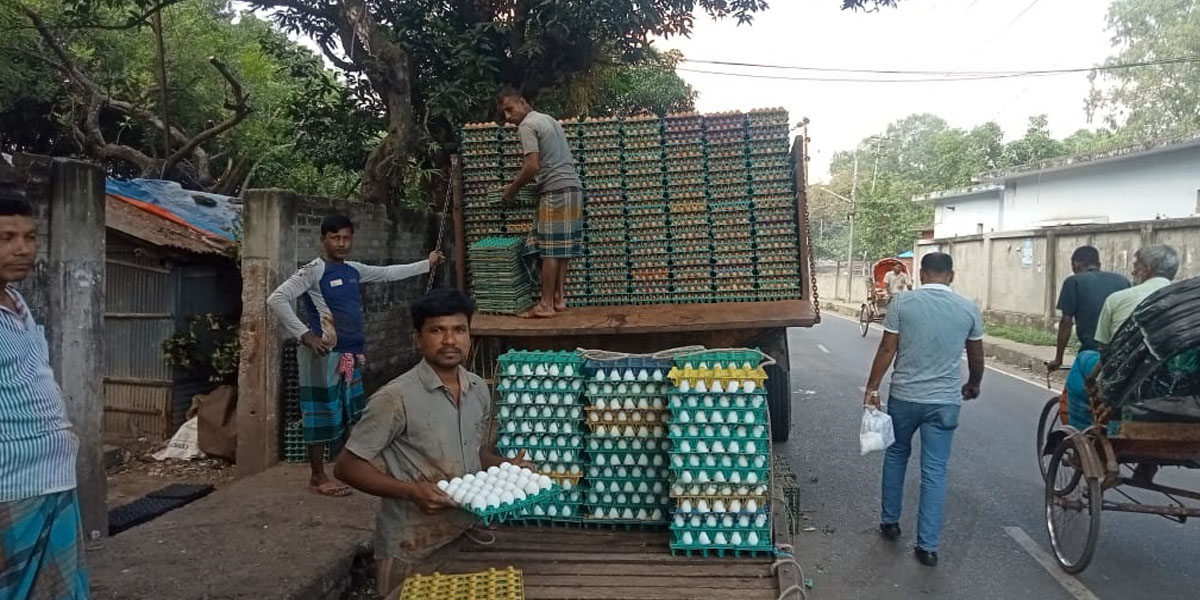 চট্টগ্রামে পাইকারি ডিমের দাম কমলেও সুফল পাচ্ছে না ক্রেতারা